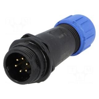 SP13 | plug | male | PIN: 6 | IP68 | 4÷6.5mm | 5A | soldering | for cable