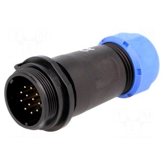 SP21 | plug | male | PIN: 12 | IP68 | 7÷12mm | soldering | for cable | 400V