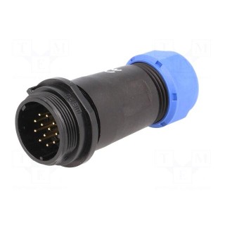 SP21 | plug | male | PIN: 12 | IP68 | 7÷12mm | soldering | for cable | 400V
