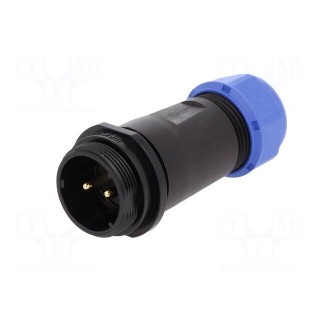 SP21 | plug | male | PIN: 2 | IP68 | 7÷12mm | soldering | for cable | 500V
