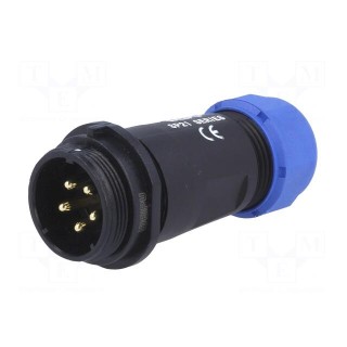 SP21 | plug | male | PIN: 5 | IP68 | 7÷12mm | soldering | for cable | 500V