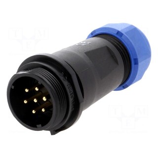 SP21 | plug | male | PIN: 7 | IP68 | 7÷12mm | soldering | for cable | 500V