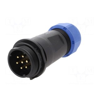SP21 | plug | male | PIN: 7 | IP68 | 7÷12mm | soldering | for cable | 500V