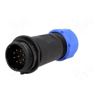 SP21 | plug | male | PIN: 9 | IP68 | 7÷12mm | soldering | for cable | 500V