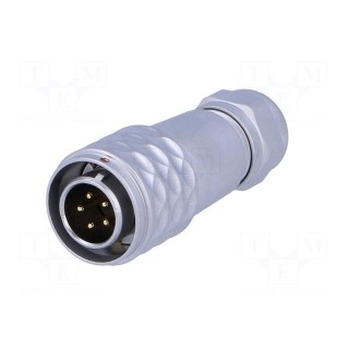 Plug | SF12 | male | PIN: 5 | IP67 | 4÷6.5mm | 5A | soldering | for cable