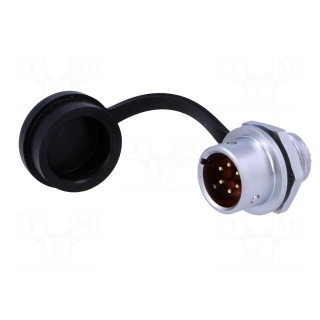 SF12 | socket | male | PIN: 6 | IP67 | 5A | soldering | 125V | 0.75mm2