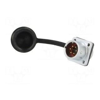 Socket | SF12 | male | PIN: 6 | IP67 | 5A | soldering | 125V | 0.75mm2