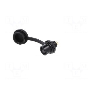 Socket | SA6 | female | PIN: 4 | IP67 | 3A | soldering | 30V | 0.5mm2