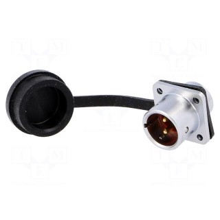 SF12 | socket | male | PIN: 2 | IP67 | 13A | soldering | 250V | 1.5mm2