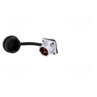 SF12 | socket | male | PIN: 2 | IP67 | 13A | soldering | 250V | 1.5mm2