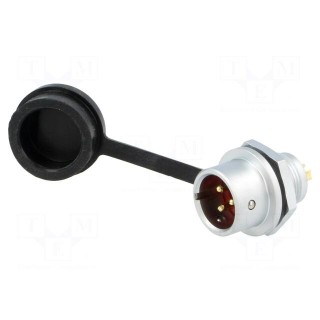 SF12 | socket | male | PIN: 3 | IP67 | 13A | soldering | 250V | 1.5mm2
