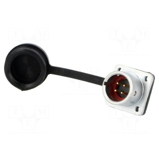 SF12 | socket | male | PIN: 4 | IP67 | 5A | soldering | 200V | 0.75mm2