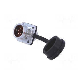 SF12 | socket | male | PIN: 5 | IP67 | 5A | soldering | 180V | 0.75mm2