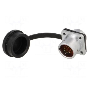 SF12 | socket | male | PIN: 9 | IP67 | 3A | soldering | 125V | 0.75mm2