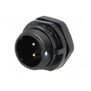 Socket | SP13 | male | PIN: 2 | IP68 | 13A | soldering | for panel mounting