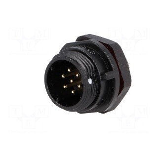 Socket | SP13 | male | PIN: 7 | IP68 | 5A | soldering | for panel mounting