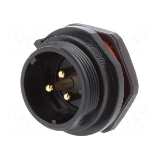 Socket | male | SP21 | PIN: 3 | IP68 | screw terminal | 500V | 1.5mm2 | 30A