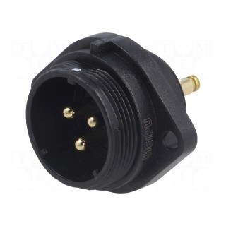SP21 | socket | male | PIN: 3 | IP68 | screw terminal | 500V | 1.5mm2 | 30A
