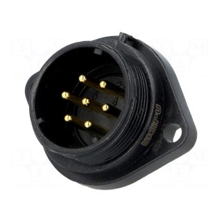 SP21 | socket | male | PIN: 7 | IP68 | soldering | 500V | 1.5mm2 | 15A
