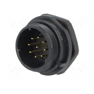 SP21 | socket | male | PIN: 9 | IP68 | soldering | 500V | 0.75mm2 | 5A