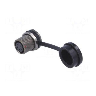 ST12 | socket | female | PIN: 5 | IP67 | 5A | soldering | 180V | 0.75mm2