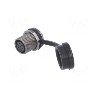 ST12 | socket | female | PIN: 7 | IP67 | 5A | soldering | 125V | 0.75mm2