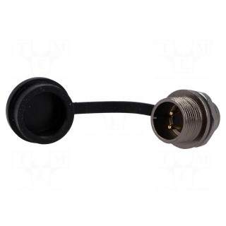 Socket | ST12 | male | PIN: 2 | IP67 | 13A | soldering | 250V | 2mm2 | -25÷85°C