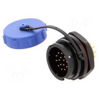 Socket | SY21 | male | PIN: 15 | IP67 | soldering | 400V | -40÷85°C