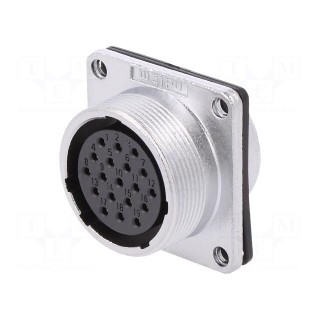 WS | socket | female | PIN: 19 | flange (4 holes),for panel mounting