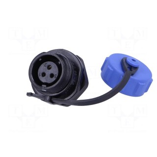 Socket | SP11 | female | PIN: 3 | with protective cap | IP68 | 4÷6.5mm | 5A