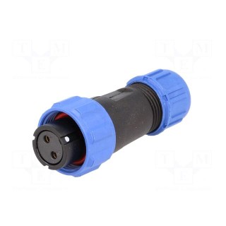 SP13 | plug | female | PIN: 2 | IP68 | 4÷6.5mm | 13A | soldering | for cable