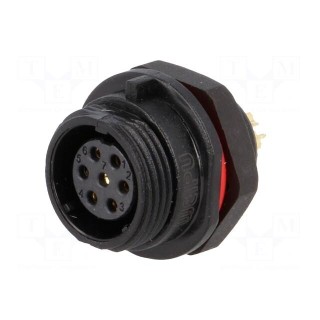 SP13 | socket | female | PIN: 7 | IP68 | 5A | soldering | 125V | 0.75mm2