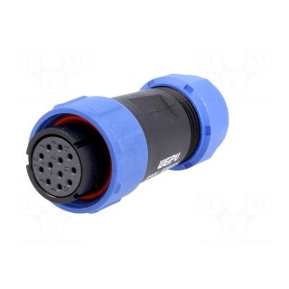 SP21 | plug | female | PIN: 12 | IP68 | 7÷12mm | soldering | for cable | 400V