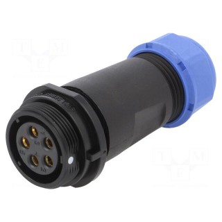 Plug | SP21 | female | PIN: 5 | IP68 | 7÷12mm | 10A | screw terminal | 500V