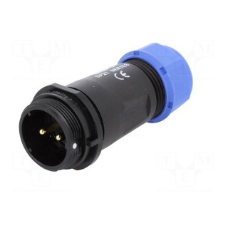 Plug | SP21 | male | PIN: 2 | IP68 | 4.5÷7mm | 30A | soldering | for cable