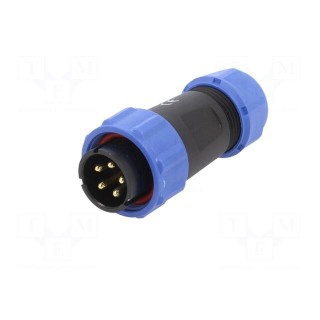 Plug | SP21 | male | PIN: 5 | IP68 | 7÷12mm | 10A | screw terminal | 500V