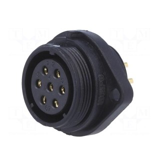 SP21 | socket | female | PIN: 7 | IP68 | soldering | 500V | 1.5mm2 | 15A