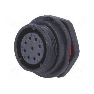 SP21 | socket | female | PIN: 9 | IP68 | soldering | 500V | 0.75mm2 | 5A