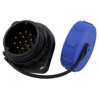 SP21 | socket | male | PIN: 12 | with protective cap | IP68 | soldering