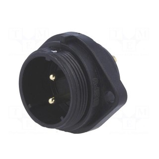 SP21 | socket | male | PIN: 2 | IP68 | soldering | 500V | 4mm2 | 30A | -25÷85°C