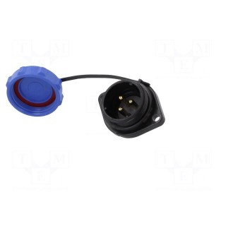 SP21 | socket | male | PIN: 3 | with protective cap | IP68 | soldering