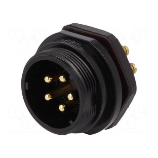 SP21 | socket | male | PIN: 5 | IP68 | screw terminal | 500V | 1.5mm2 | 30A