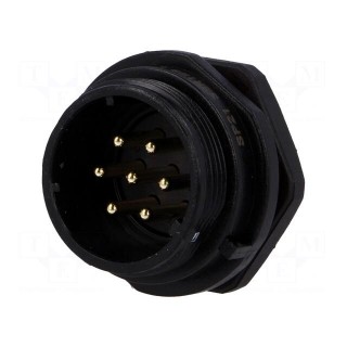 Socket | male | SP21 | PIN: 7 | IP68 | soldering | 500V | 1.5mm2 | 15A