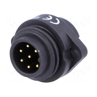 WA22 | socket | male | PIN: 7 | 6+PE | IP67 | 10A | soldering | 250V