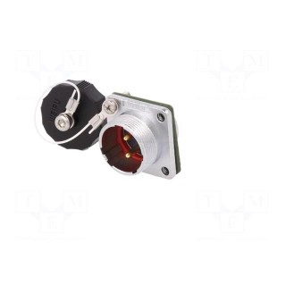 Socket | WF20 | male | PIN: 2 | IP67 | 25A | soldering | 500V | 4mm2 | size 20