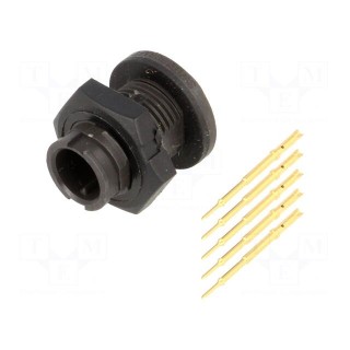 Connector: circular | Series: EN2 | socket | male | soldering | PIN: 5 | 3A