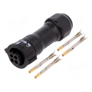 Connector: circular | plug | for cable | PIN: 4 | female | with contacts