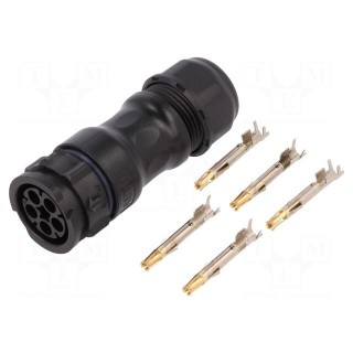 Connector: circular | plug | for cable | PIN: 5 | female | with contacts