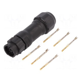 Connector: circular | plug | for cable | PIN: 6 | female | with contacts