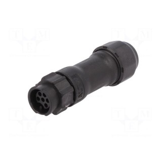 Connector: circular | plug | for cable | PIN: 6 | female | with contacts